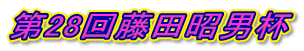 28񓡓cjt