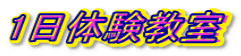 1̌
